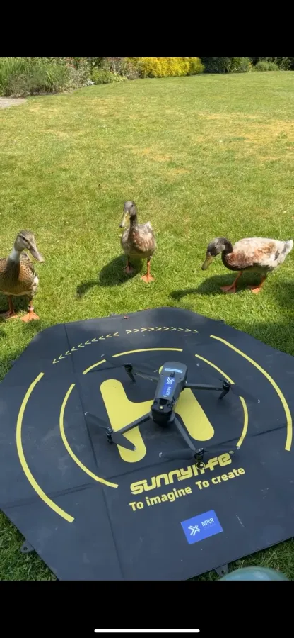 Drie nieuwsgierige eenden komen kijken bij een MRR-drone op het landingsplatform in de tuin